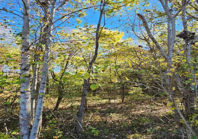 Photo 3 of Land for sale at 0 Hidden River Ln #68, Sparta, TN 38583 | MLS# 1545423 | Listing updated on 2026-10-30