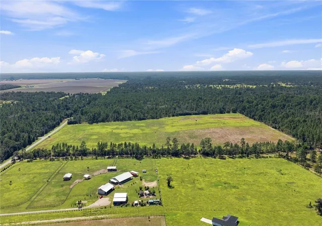 Photo 3 of Land for sale at 14231 Se 80th Street, Morriston, FL 32668 | MLS# OM712417 | Listing updated on 2026-09-03