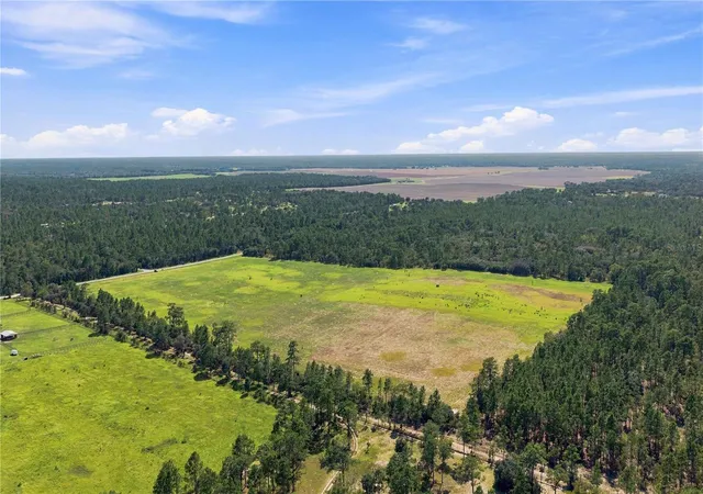 Photo 3 of Land for sale at 14231 SE 80th Street, Morriston, FL 32668 | MLS# OM712417 | Listing updated on 2026-09-03