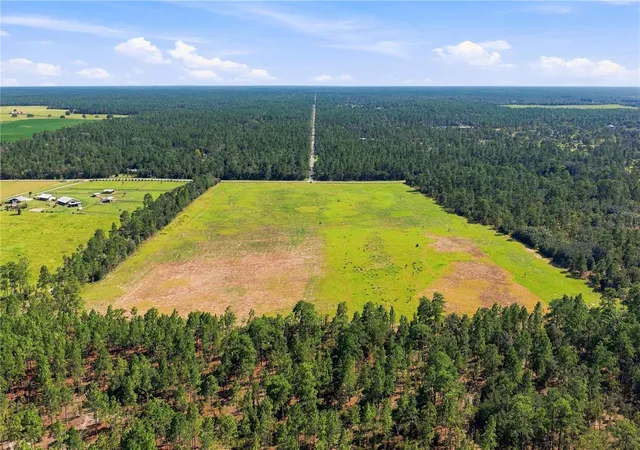 Photo 4 of Land for sale at 14231 SE 80th Street, Morriston, FL 32668 | MLS# OM712417 | Listing updated on 2026-09-03