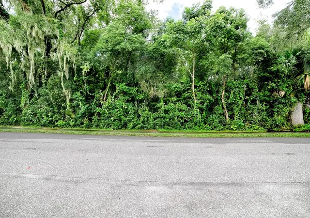 Photo 4 of Land for sale at Tbd King Ave, Zellwood, FL 32798 | MLS# G5111445 | Listing updated on 2026-09-06