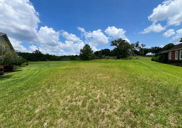 Photo 3 of Land for sale at 19492 Forest Garden Ct, Brooksville, FL 34601 | MLS# O6412440 | Listing updated on 2026-09-02