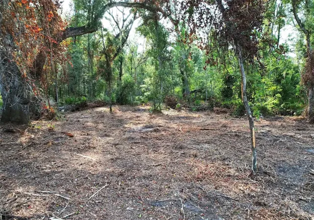 Photo 1 of Land for sale at 1615 Ne 497th Street, Old Town, FL 32680 | MLS# O6432941 | Listing updated on 2026-09-01