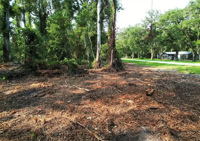 Photo 3 of Land for sale at 1615 Ne 497th Street, Old Town, FL 32680 | MLS# O6432941 | Listing updated on 2026-09-01