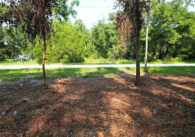 Photo 3 of Land for sale at 1615 NE 497th Street, Old Town, FL 32680 | MLS# O6432941 | Listing updated on 2026-09-01