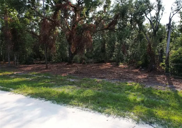 Photo 4 of Land for sale at 1615 NE 497th Street, Old Town, FL 32680 | MLS# O6432941 | Listing updated on 2026-09-01