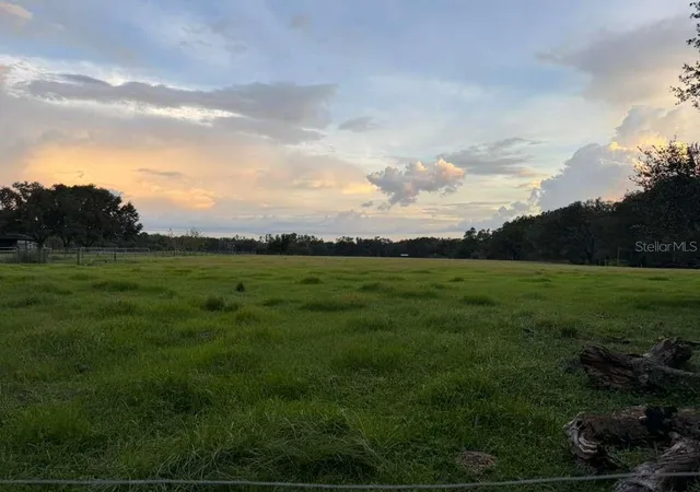 Photo 3 of Land for sale at 27900 Bayhead Rd, Dade City, FL 33523 | MLS# TB8539379 | Listing updated on 2026-09-08