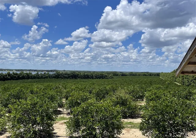 Photo 3 of Land for sale at A T Race Rd, Dundee, FL 33838 | MLS# L4964354 | Listing updated on 2026-09-03