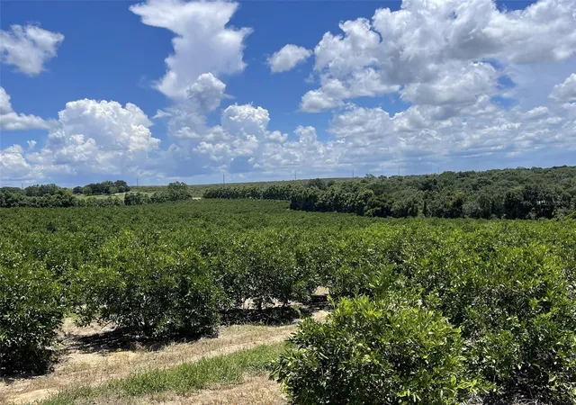 Photo 3 of Land for sale at A T Race Rd, Dundee, FL 33838 | MLS# L4964354 | Listing updated on 2026-09-03