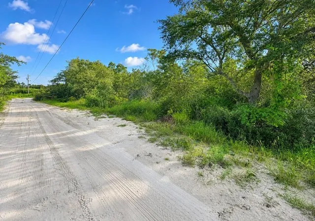 Photo 2 of Land for sale at 43718 Cooter Pond Rd, Deland, FL 32720 | MLS# O6436285 | Listing updated on 2026-09-01