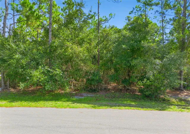 Land for sale at Mustang, Saint Cloud, FL 34771 | MLS# S5156364