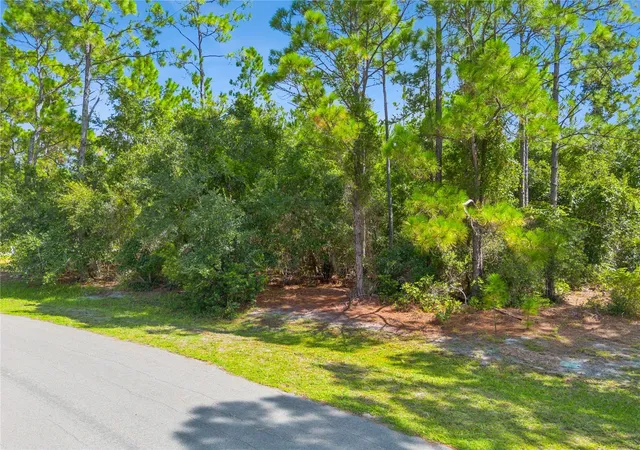 Photo 2 of Land for sale at Mustang, Saint Cloud, FL 34771 | MLS# S5156364 | Listing updated on 2026-09-01