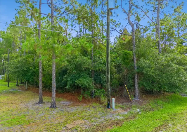 Photo 4 of Land for sale at Mustang, Saint Cloud, FL 34771 | MLS# S5156364 | Listing updated on 2026-09-01