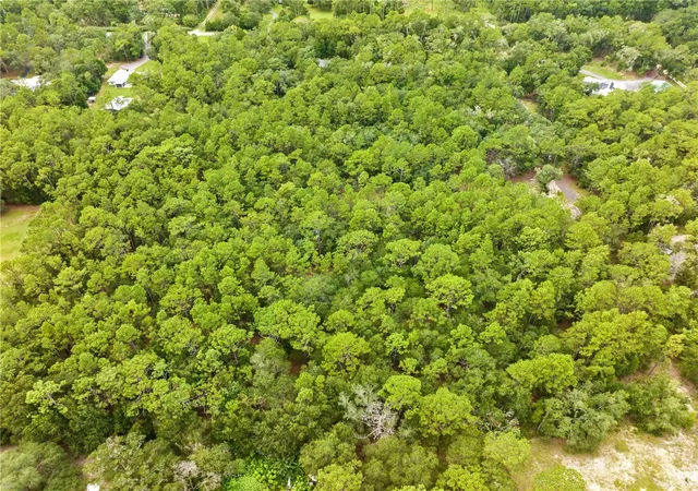 Photo 3 of Land for sale at 0 Shaver Dr, Brooksville, FL 34601 | MLS# TB8542817 | Listing updated on 2026-10-02