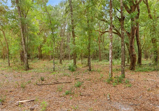Photo 4 of Land for sale at 0 Shaver Dr, Brooksville, FL 34601 | MLS# TB8542817 | Listing updated on 2026-10-02