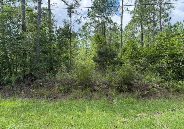 Photo 2 of Land for sale at 2724 Lancewood St, Bunnell, FL 32110 | MLS# FC321006 | Listing updated on 2026-09-03
