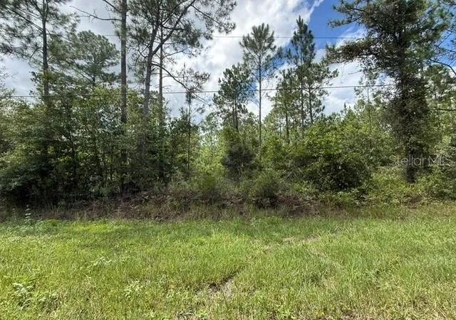 Photo 2 of Land for sale at 2724 Lancewood St, Bunnell, FL 32110 | MLS# FC321006 | Listing updated on 2026-09-03