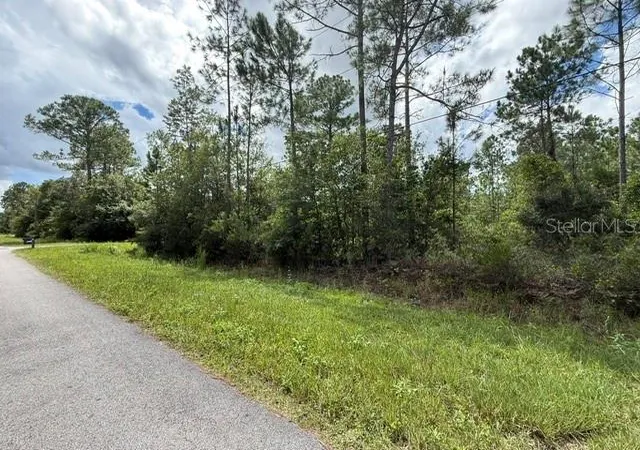 Photo 3 of Land for sale at 2724 Lancewood St, Bunnell, FL 32110 | MLS# FC321006 | Listing updated on 2026-09-03