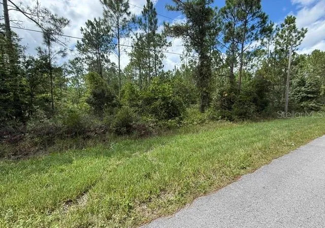 Photo 4 of Land for sale at 2724 Lancewood St, Bunnell, FL 32110 | MLS# FC321006 | Listing updated on 2026-09-03
