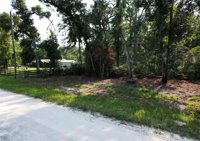 Photo 3 of Land for sale at Ne 475th St, Old Town, FL 32680 | MLS# O6437450 | Listing updated on 2026-09-01