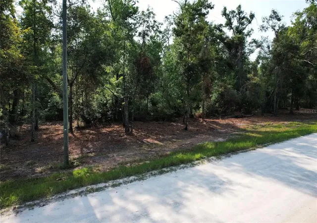 Photo 3 of Land for sale at Ne 475Th St, Old Town, FL 32680 | MLS# O6437450 | Listing updated on 2026-09-01