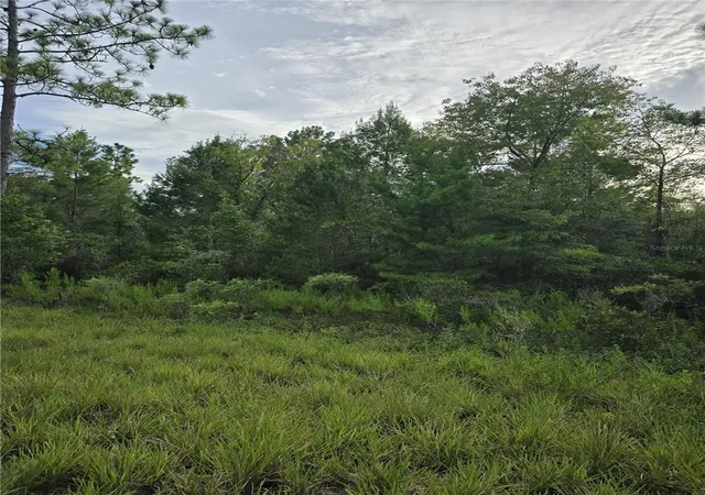 Photo 2 of Land for sale at 00 Ne 124th Terrace, Williston, FL 32696 | MLS# OM731332 | Listing updated on 2026-09-02