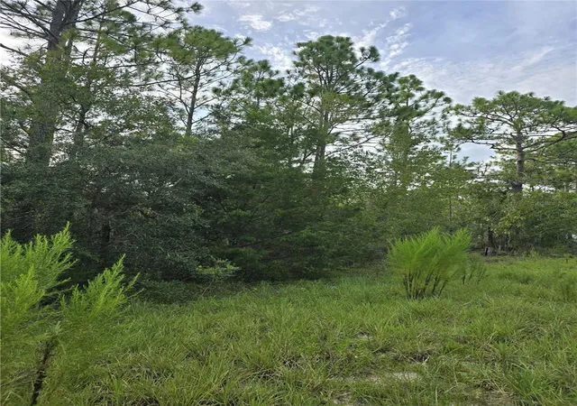 Photo 3 of Land for sale at 00 Ne 124th Terrace, Williston, FL 32696 | MLS# OM731332 | Listing updated on 2026-09-02