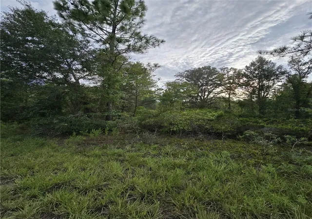 Photo 3 of Land for sale at 00 NE 124th Terrace, Williston, FL 32696 | MLS# OM731332 | Listing updated on 2026-09-02