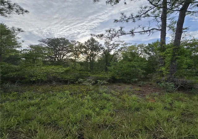 Photo 4 of Land for sale at 00 NE 124th Terrace, Williston, FL 32696 | MLS# OM731332 | Listing updated on 2026-09-02