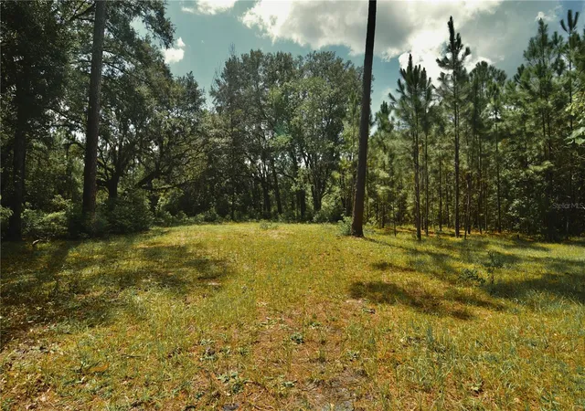 Photo 3 of Sale Pending at 18709 Ne Us Hwy 301, Waldo, FL 32694 | MLS# OM731377 | Listing updated on 2026-09-27