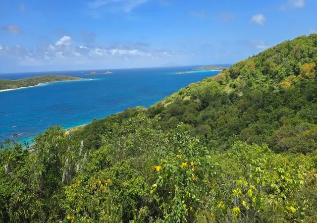 Photo 4 of Single family home for sale at 25 Barrio San Isidro, Culebra, PR 00775 | MLS# PR9123809 | Listing updated on 2026-09-01