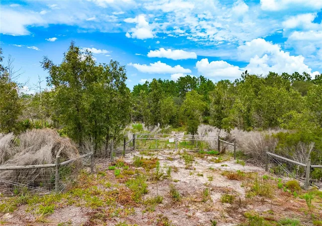 Photo 4 of Land for sale at 56th Street, Bronson, FL 32621 | MLS# GC543173 | Listing updated on 2026-09-02