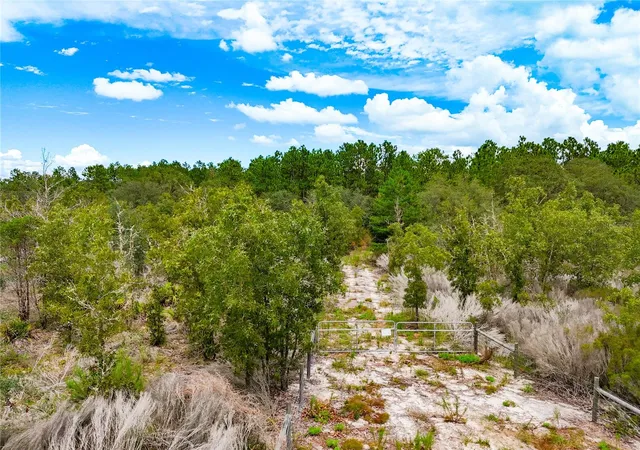 Photo 5 of Land for sale at 56th Street, Bronson, FL 32621 | MLS# GC543173 | Listing updated on 2026-09-02