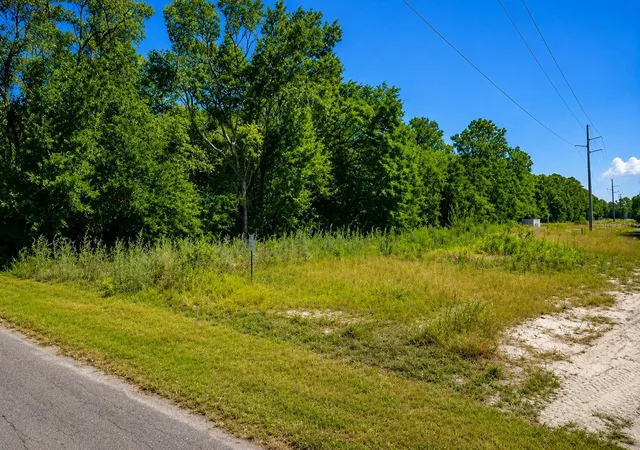Photo 3 of Land for sale at Fisher Ln Ct, Ocklawaha, FL 32179 | MLS# TB8544432 | Listing updated on 2026-10-02