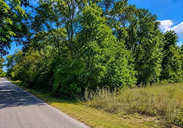 Photo 3 of Land for sale at Fisher Ln Ct, Ocklawaha, FL 32179 | MLS# TB8544432 | Listing updated on 2026-10-02