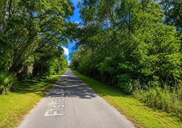 Photo 4 of Land for sale at Fisher Ln Ct, Ocklawaha, FL 32179 | MLS# TB8544432 | Listing updated on 2026-10-02