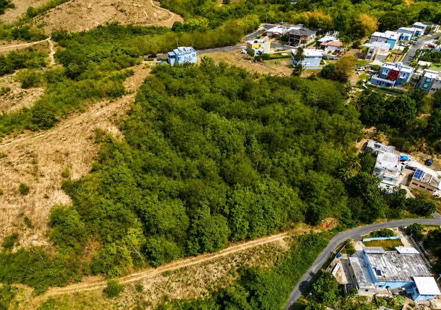 Photo 15 of Land for sale at Pr 906 Km 39, Yabucoa, PR 00767 | MLS# PR9123862 | Listing updated on 2026-09-02