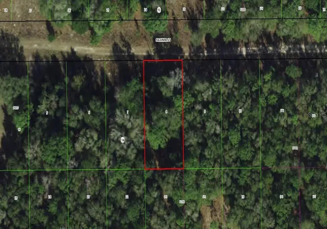 Photo 1 of Land for sale at 1913 Falkner St, Inverness, FL 34453 | MLS# C7530244 | Listing updated on 2026-09-02