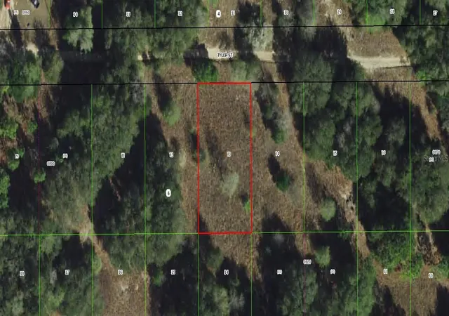 Photo 1 of Land for sale at 2407 Tyler St, Inverness, FL 34453 | MLS# C7530249 | Listing updated on 2026-09-02