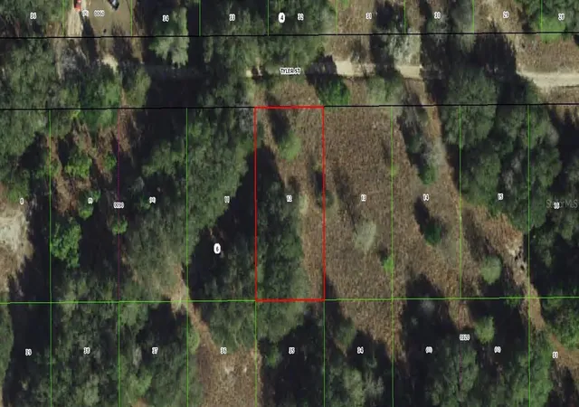 Photo 1 of Land for sale at 2409 Tyler St, Inverness, FL 34453 | MLS# C7530250 | Listing updated on 2026-09-02