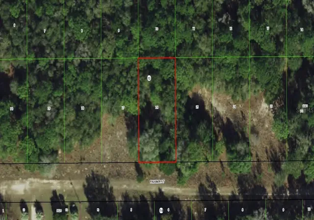 Photo 1 of Land for sale at 2006 Falkner St, Inverness, FL 34453 | MLS# C7530256 | Listing updated on 2026-09-02
