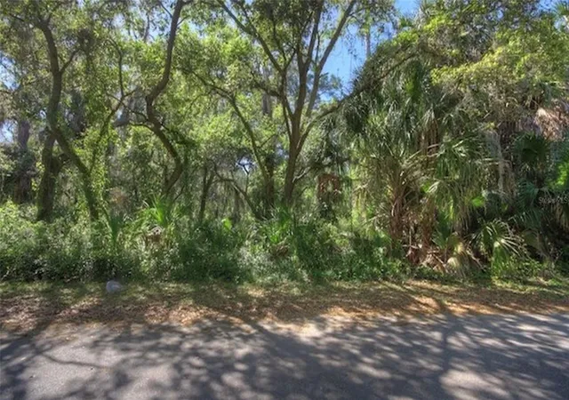 Photo 4 of Land for sale at Lot SW 2 165th Avenue, Cedar Key, FL 32625 | MLS# C7530260 | Listing updated on 2026-09-02