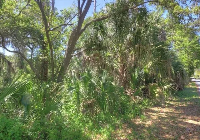 Photo 8 of Land for sale at Lot SW 2 165th Avenue, CEDAR KEY, FL 32625 | MLS# C7530260 | Listing updated on 2026-09-02