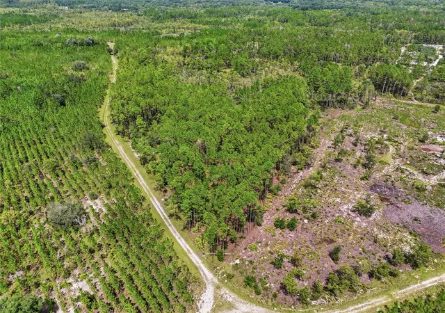 Photo 2 of Land for sale at Se 51 Way, Trenton, FL 32693 | MLS# GC543183 | Listing updated on 2026-09-03