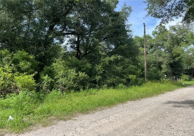 Photo 2 of Land for sale at 3677 E Yandle Pl, Inverness, FL 34453 | MLS# O6438374 | Listing updated on 2026-09-02