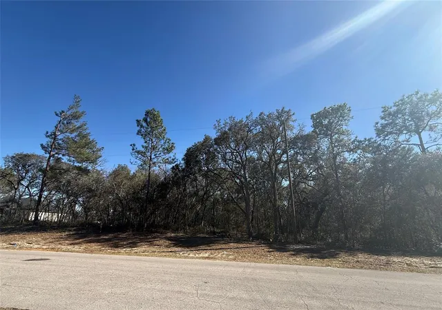 Photo 1 of Land for sale at Lot 11 Marion Oaks Pass, Ocala, FL 34473 | MLS# O6438387 | Listing updated on 2026-09-03