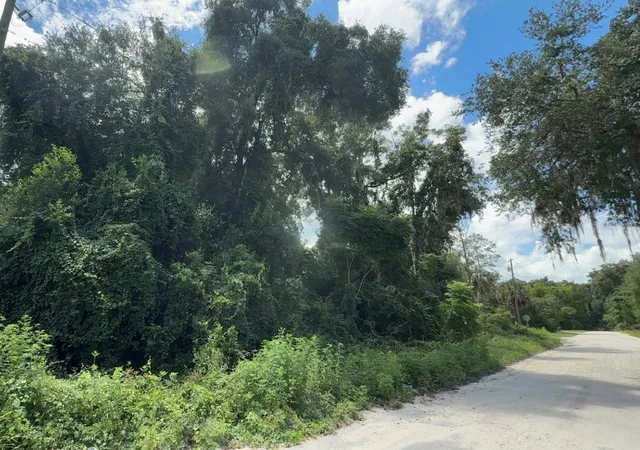 Photo 2 of Land for sale at 0000 Ne 182nd Place, Citra, FL 32113 | MLS# GC543188 | Listing updated on 2026-09-02