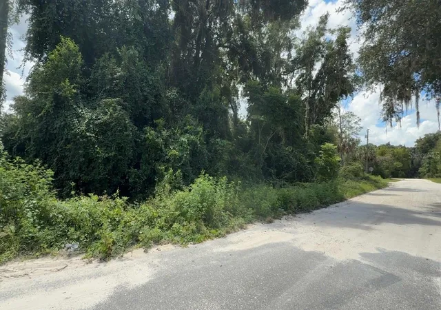 Photo 3 of Land for sale at 0000 Ne 182nd Place, Citra, FL 32113 | MLS# GC543188 | Listing updated on 2026-09-02