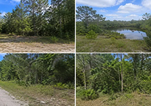 Photo 3 of Land for sale at Leslie Dr, De Land, FL 32720 | MLS# L4964754 | Listing updated on 2026-09-02