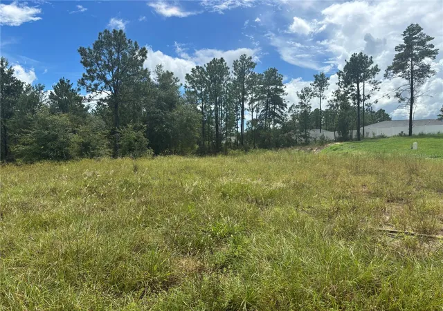 Photo 1 of Land for sale at 12828 Sw 86 Circle, Ocala, FL 34473 | MLS# OM731546 | Listing updated on 2026-09-03